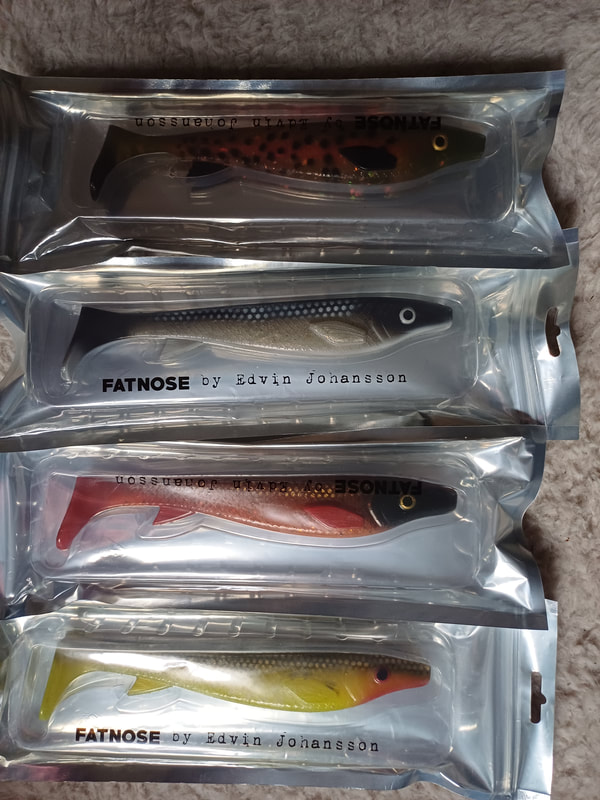 Fatnose Shad