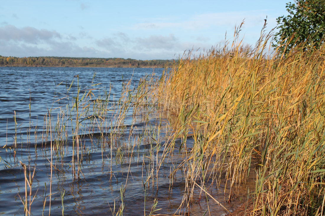 höstlovsfiske Vimmerby