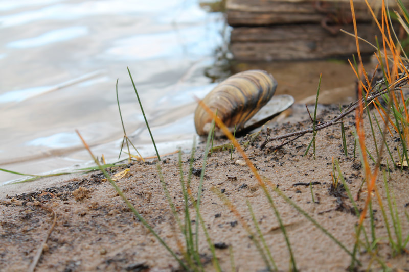 härligt höstlovsfiske i Vimmerby