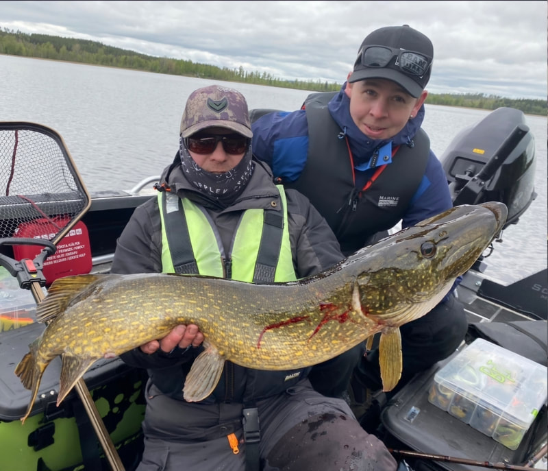 Längsta gädda - vårtävling